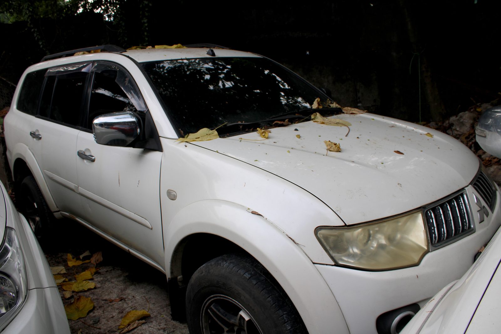 2012 Mitsubishi Montero Sport GLX-V 4x2 2.5, M/T, DSL 143T photo 2