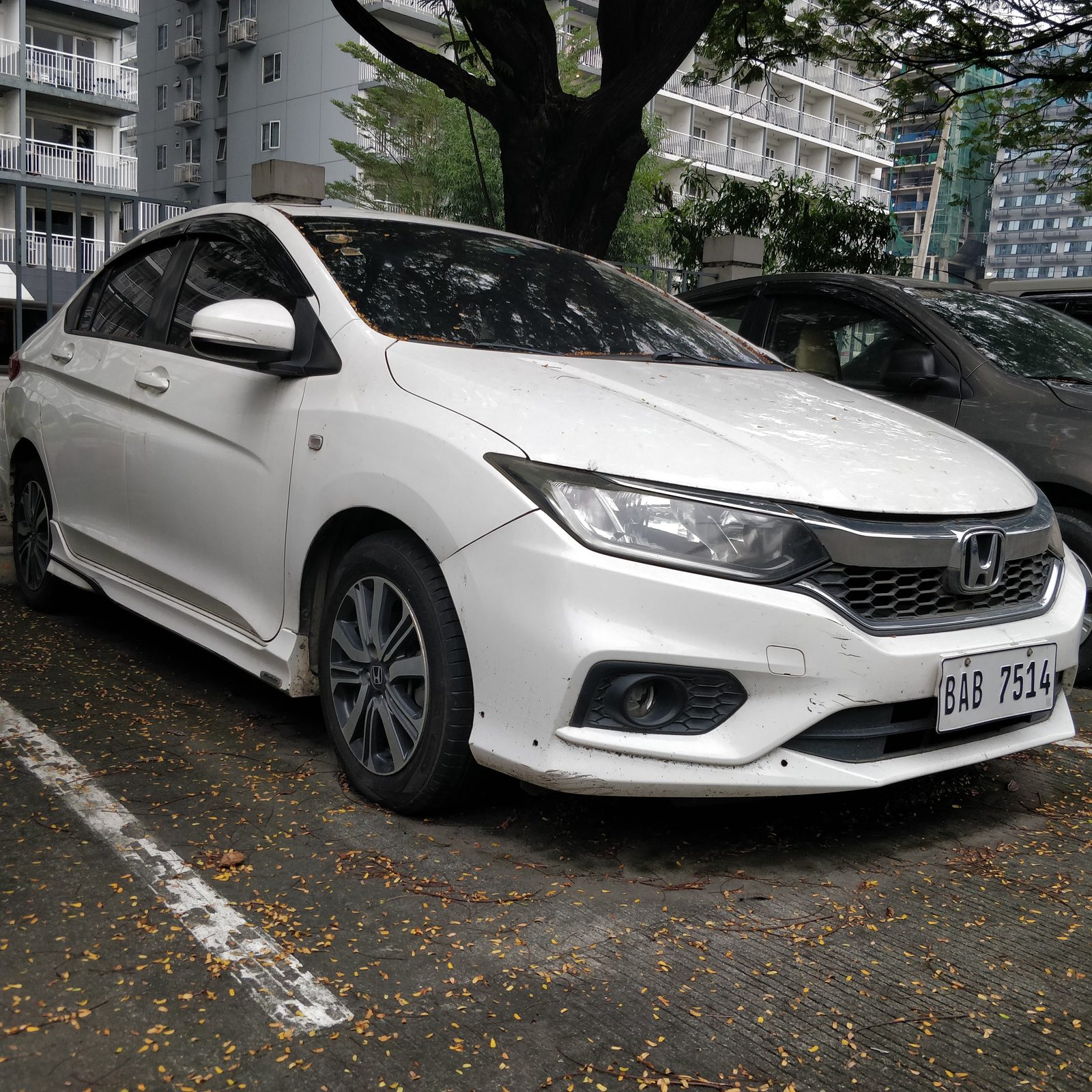 Honda City photo 4